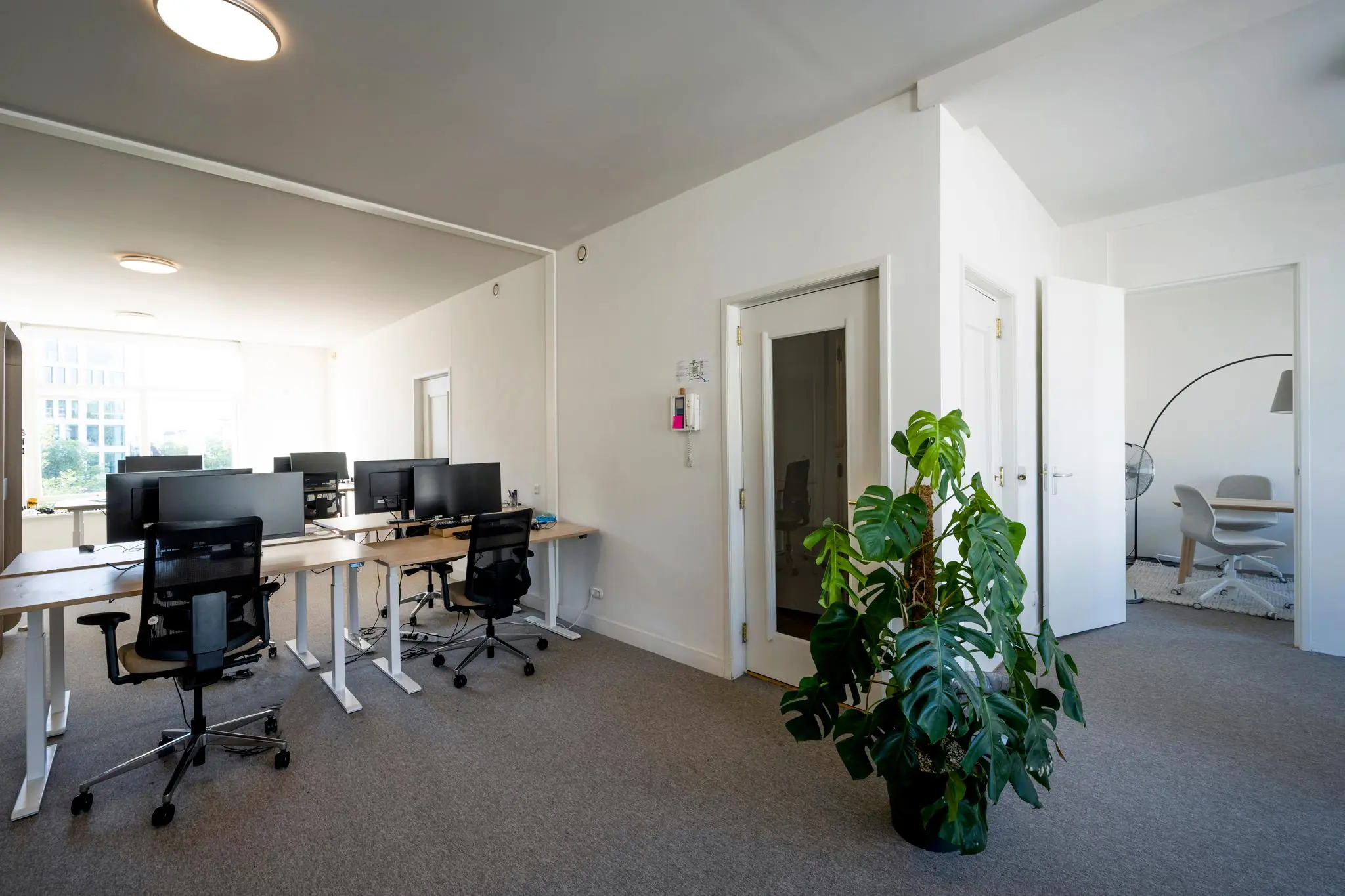 Modern kantoorinterieur aan de Prof. Tulpstraat met bureaus, kantoorstoelen, computers en een grote kamerplant.